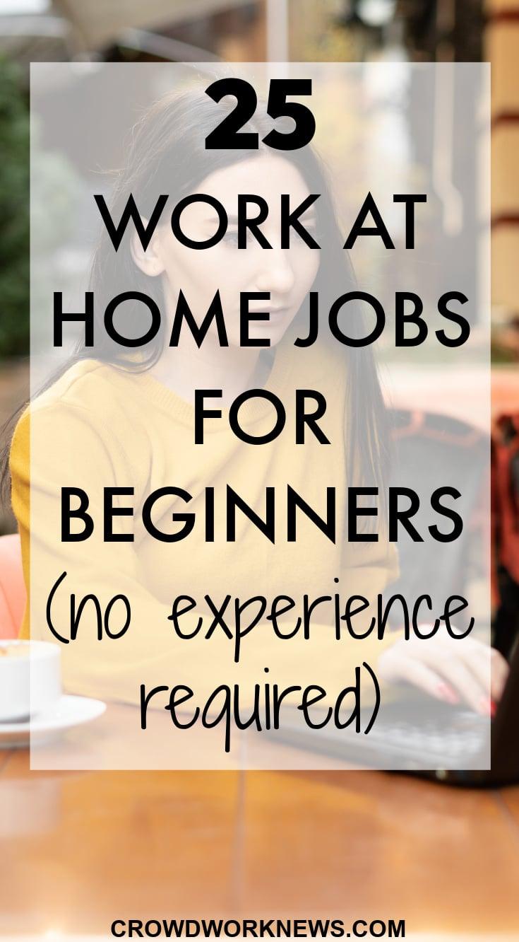 Best Work From Home Jobs 2021 No Experience: Top Work from Home Jobs for Writers: 2021 Edition